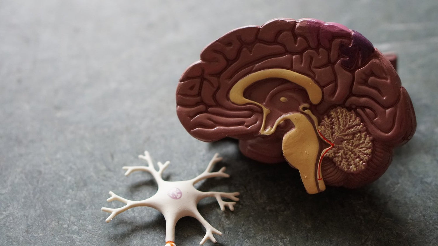 Stroke: What It Is, Prevention, Causes and Symptoms.