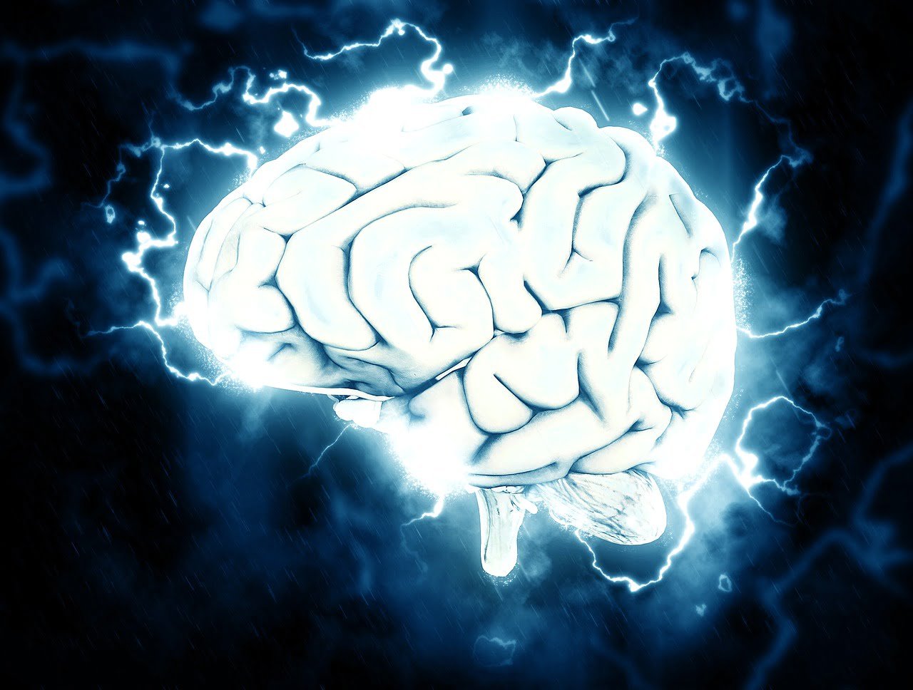The mystery of Multiple Sclerosis