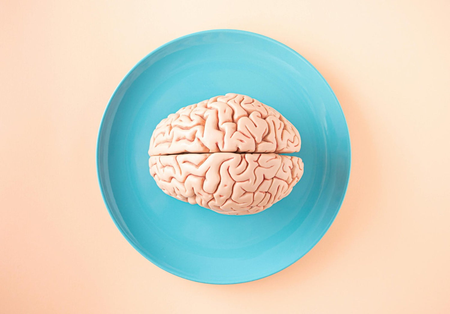 Unleashing the Power of Neuroplasticity: A Pathway to Recovery through Neurorehabilitation