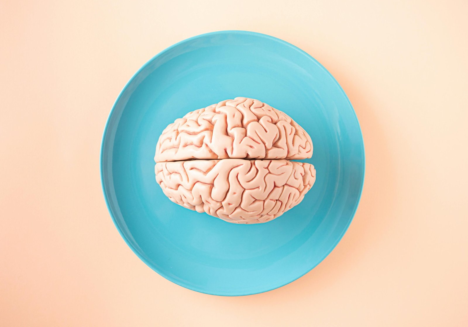 Unleashing the Power of Neuroplasticity: A Pathway to Recovery through Neurorehabilitation