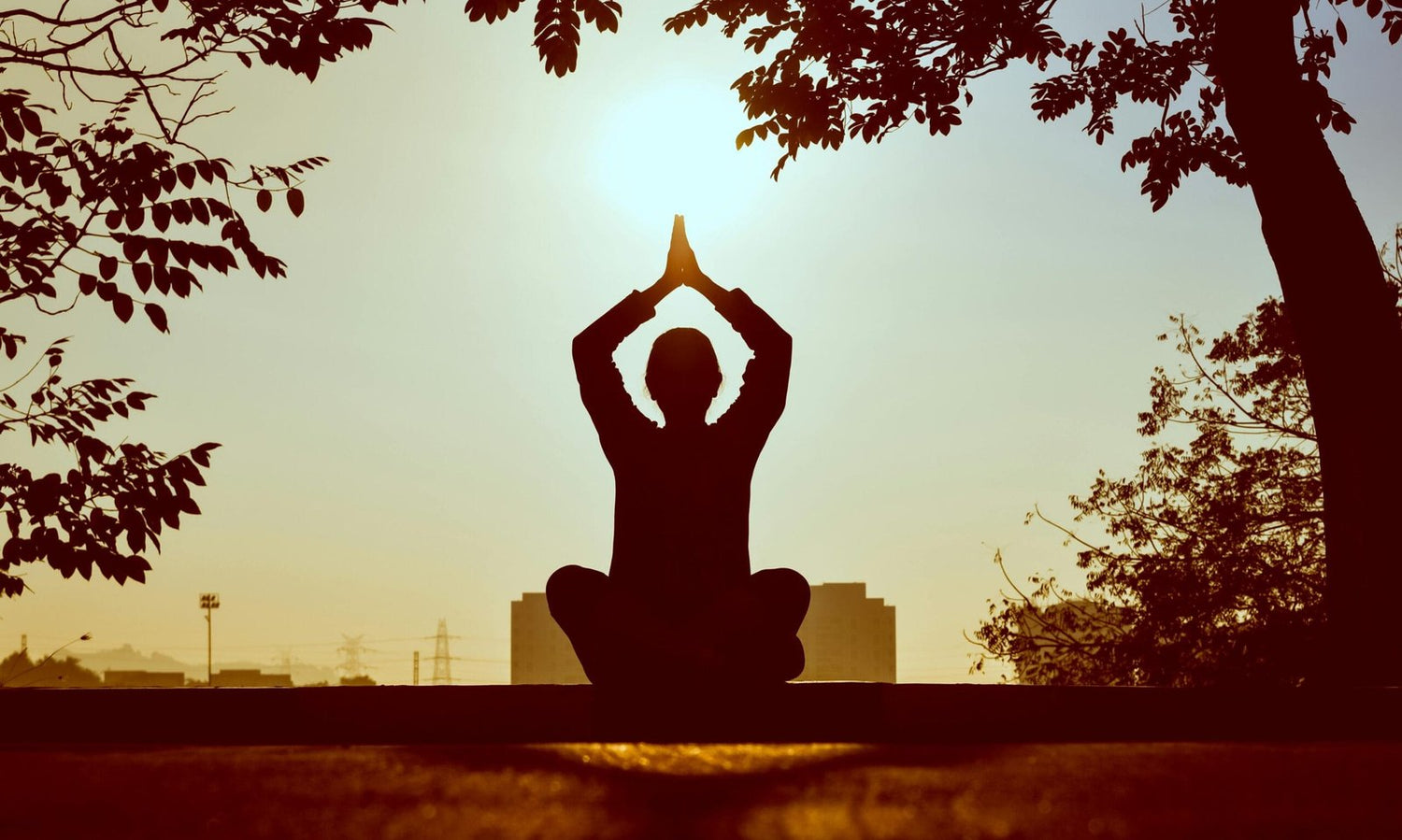 Mindfulness and Mental Health in Rehabilitation After Stroke