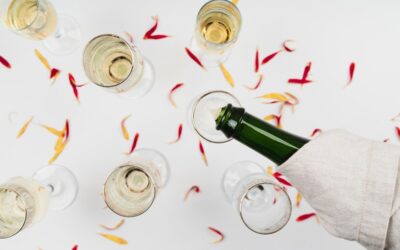 The Power of Celebrating Wins as a Startup