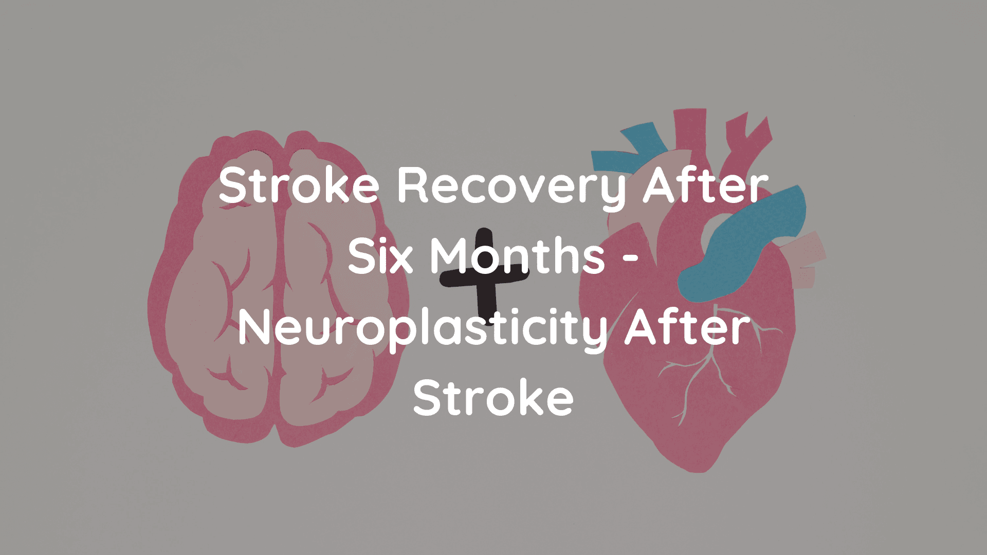 Stroke Recovery After Six Months – Neuroplasticity After Stroke